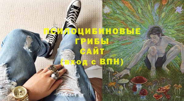 экстази Киселёвск