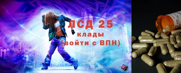 ГАЛЛЮЦИНОГЕННЫЕ ГРИБЫ Арсеньев